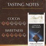 Lindt Sea Salt Chocolate Bar, 3.5 oz