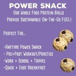 Chocolate Chip Cookie Dough Protein Balls - 8g Protein