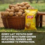 Lay's Classic Potato Chips - 40 Pack