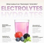 Wildberry Electrolyte Powder Packets - Sugar Free