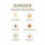 Ginger Chews by The Ginger People – 3oz Bag
