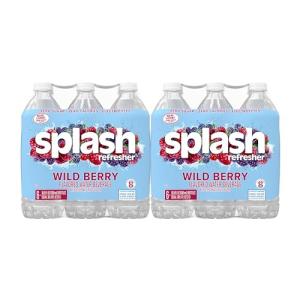 Wild Berry Splash Refresher - 24 Bottles