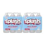 Wild Berry Splash Refresher - 24 Bottles