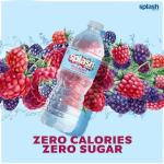 Wild Berry Splash Refresher - 24 Bottles
