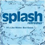 Wild Berry Splash Refresher - 24 Bottles