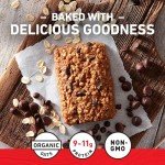 CLIF BAR Energy Variety Pack - 6 Flavors