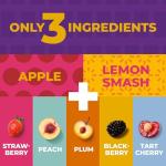 Zest Delites Fruit Leather Snack Bars - Vegan Variety