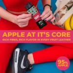 Zest Delites Fruit Leather Snack Bars - Vegan Variety