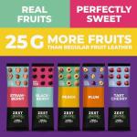 Zest Delites Fruit Leather Snack Bars - Vegan Variety