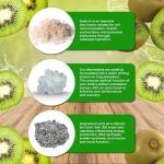 Kiwi Flavor Sugar-Free Electrolyte Drink Mix