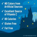 Harry Potter Fruit Snacks - Gluten Free, 22 Pouches