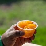 Dole Cherry Mixed Fruit Cups in Juice