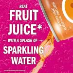 IZZE Sparkling Juice Variety Pack - 24 Cans
