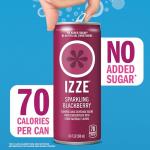 IZZE Sparkling Juice Variety Pack - 24 Cans