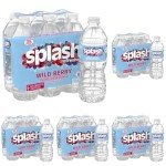Wild Berry Splash Refresher - 30 Bottles Pack