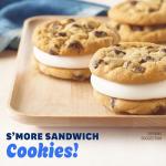 Pillsbury Ready to Bake Chocolate Chip Cookie Dough