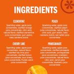 IZZE Sparkling Juice Variety Pack - Sunset Flavors