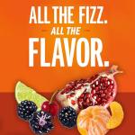 IZZE Sparkling Juice Variety Pack - Sunset Flavors