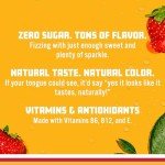 Strawberry Watermelon Sparkling Water - Pack of 12