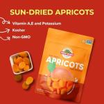 Delicious Vegan Sun-Dried Turkish Apricots Snack
