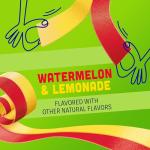 Watermelon Lemonade Fruit By The Foot Snacks