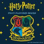 Harry Potter Fruit Flavored Snacks - 10 Pouches