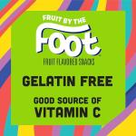 Watermelon Lemonade Fruit By The Foot Snacks