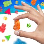 Chewy Fruity Gummy Bears Candy - 1 Pound Bag