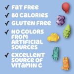Bluey Gluten-Free Fruit Snacks Family Pack