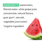 GoodPop Watermelon Ice Pops - 100% Fruit Juice