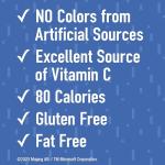 Betty Crocker Minecraft Fruit Snacks - 10 Count