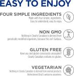 Clearly Canadian Raspberry Sparkling Water, 11 Fl Oz