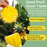 Crunchy Freeze-Dried Pineapple Chips - 7.4 oz