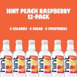 Hint Water Variety Pack - 4 Flavor Assortment
