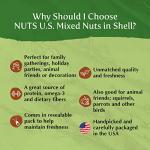 Nutty Gamer Snack Mix - 6 LBS Resealable Bag