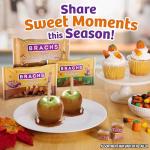 Brach's Milk Maid Caramels - 10oz Treats