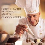 Lindt Gourmet Chocolate Truffles Gift Box - 26 Count