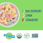 YumEarth Organic Sour Littles Allergy-Friendly Candy