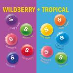 SKITTLES Wild Berry & Tropical Mash-Ups 9oz Bag