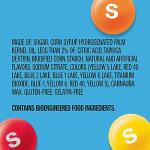 SKITTLES Wild Berry & Tropical Mash-Ups 9oz Bag