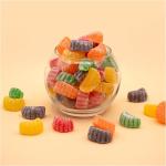 Sugar-Dusted Fruit Slices Jelly Candy Bag