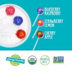 YumEarth Organic Duo Pops - Allergy Friendly Lollipops