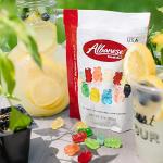 12 Flavor Gummi Bears – Chewy Candy Treats