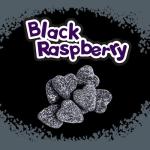 SOUR PATCH KIDS Black Raspberry Soft Candy