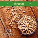 Sincerely Nuts Raw Sunflower Seed Kernels 2lb
