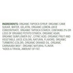 Organic Gummy Bears - 65 Pouch Pack