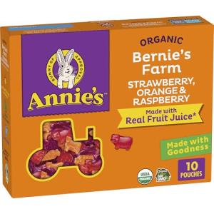 Annie's Organic Fruit Snacks – Gluten Free, 10 Pack