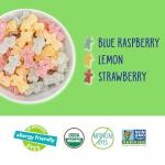 YumEarth Organic Sour Littles Candy - Allergy Friendly