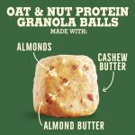 Nature Valley Oat and Nut Protein Snack Balls