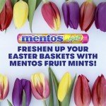 Mentos Mint & Fruit Chewy Candy Rolls 6-Count